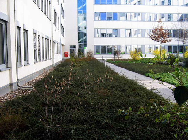 n_n_b_09  Gang rechts.jpg